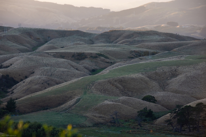 Dawn_Hills