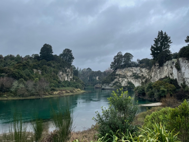 Waikato_Cliffs
