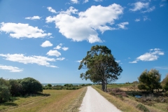 Bike_Path