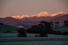 Tararua Dawn