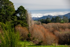 Tararua Snow