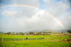 Rainbow_Over_Tararuas