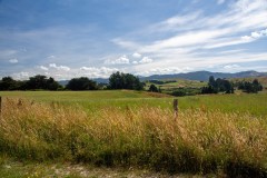 Tararua_Summer