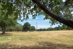 Washington_Monument