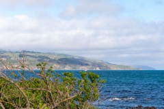 Whitireia Harbour Entrance